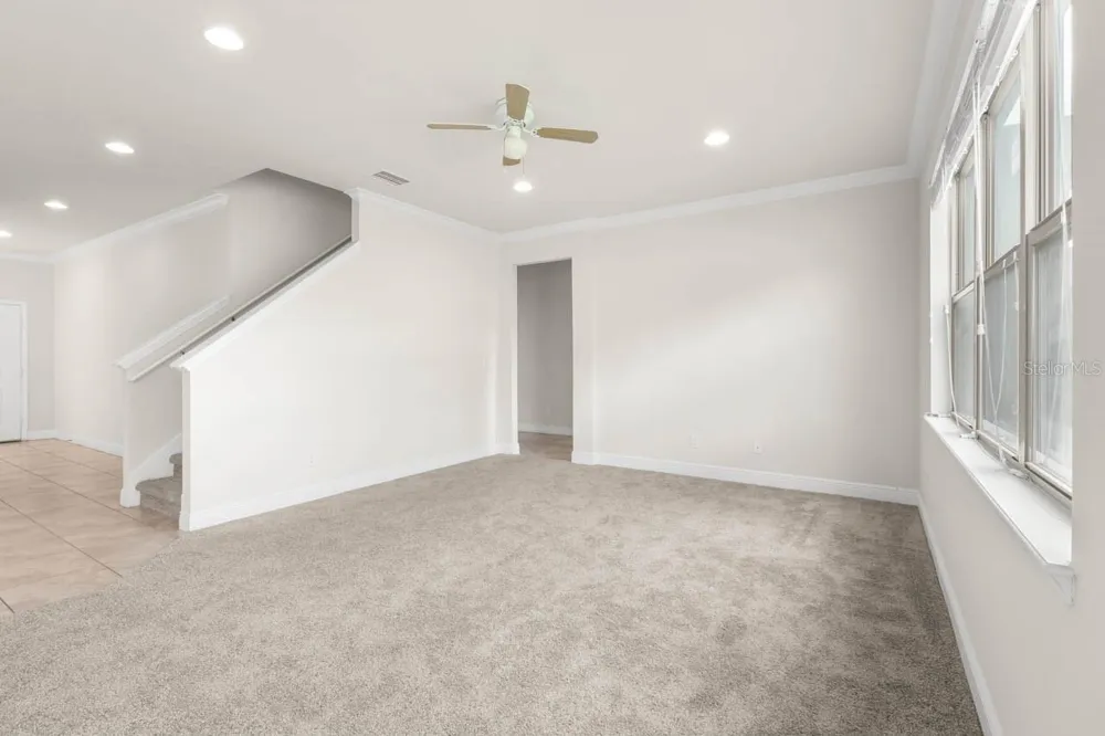 9118 MOUNTAIN MAGNOLIA DRIVE Riverview, FL 33578