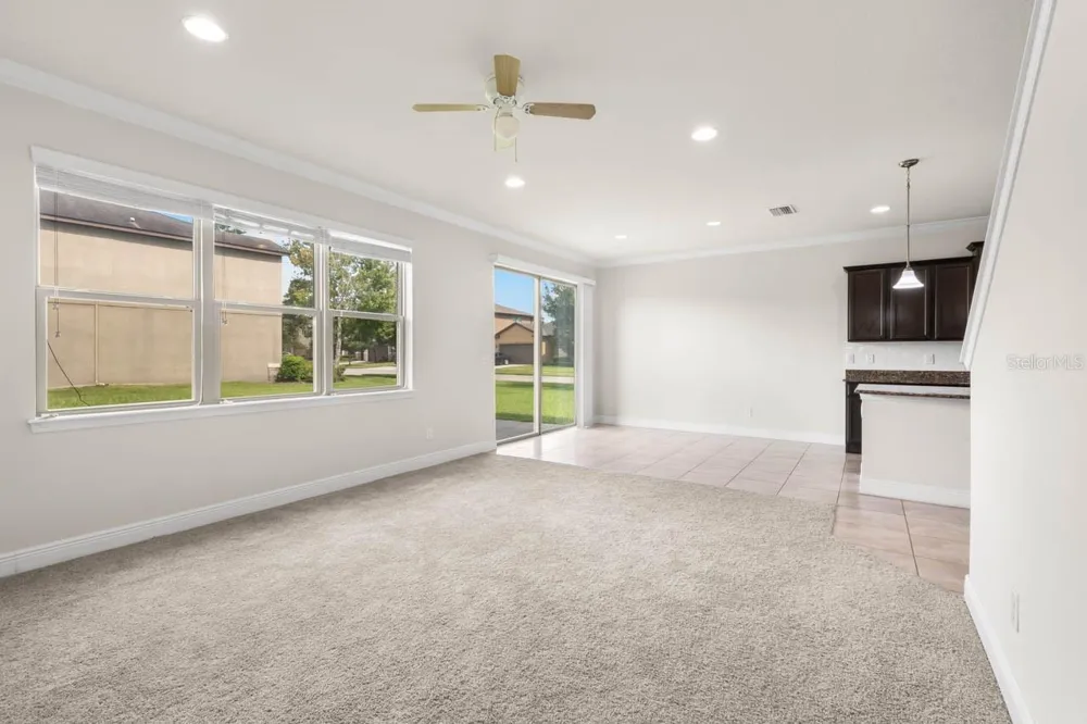 9118 MOUNTAIN MAGNOLIA DRIVE Riverview, FL 33578