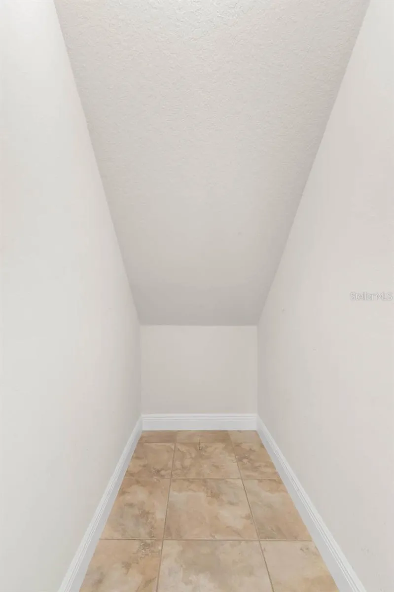 9118 MOUNTAIN MAGNOLIA DRIVE Riverview, FL 33578