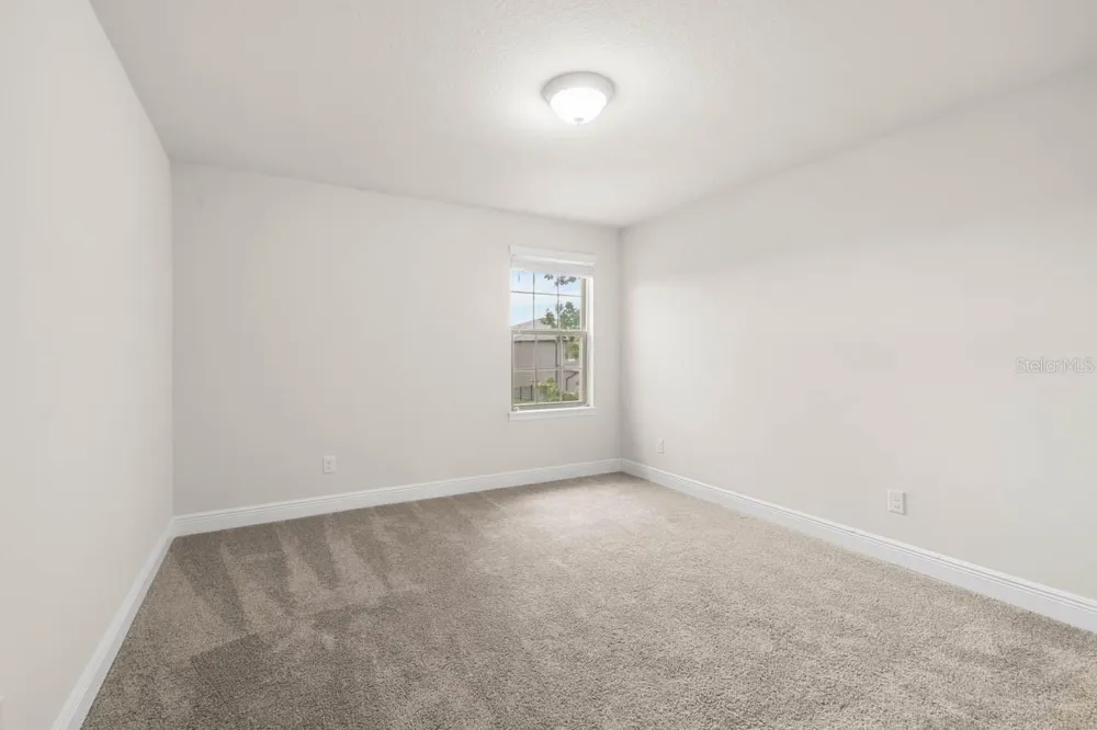 9118 MOUNTAIN MAGNOLIA DRIVE Riverview, FL 33578