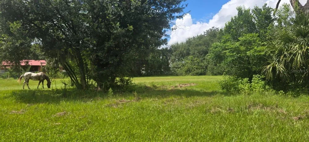 4511 E KEYSVILLE ROAD Lithia, FL 33547