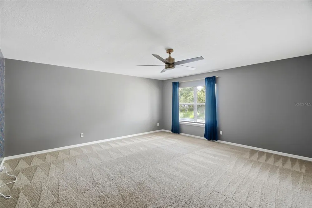 10649 GOOSEBERRY COURT Trinity, FL 34655