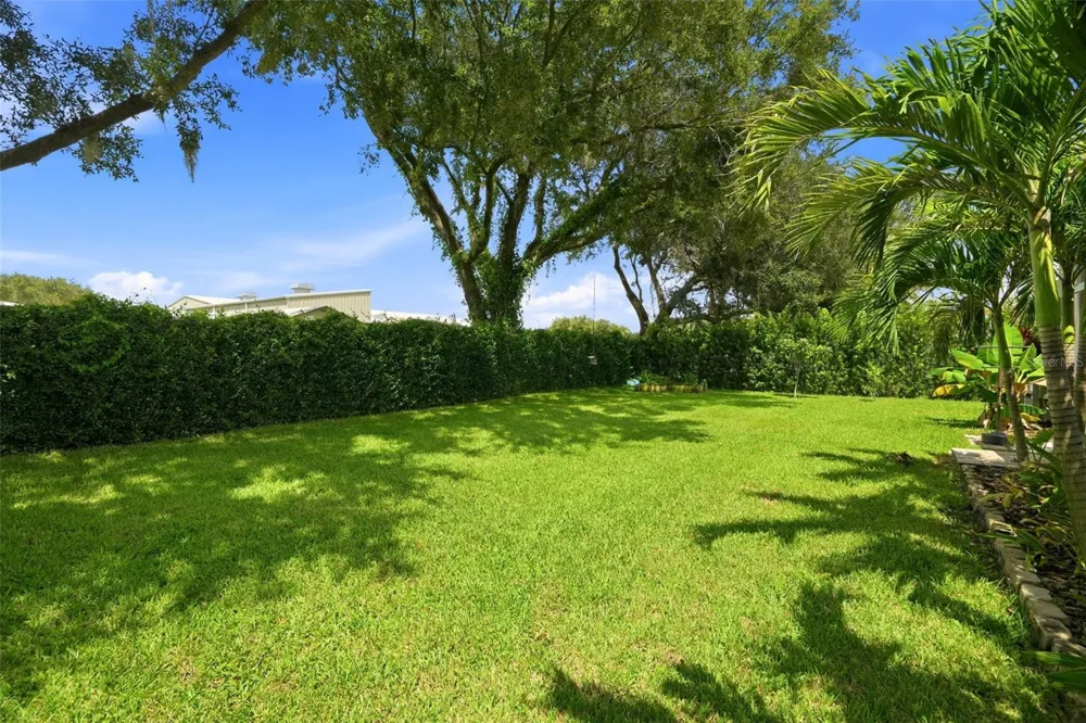10649 GOOSEBERRY COURT Trinity, FL 34655
