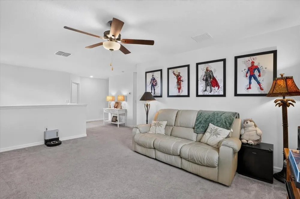 12036 BLUE DIAMOND COVE Parrish, FL 34219