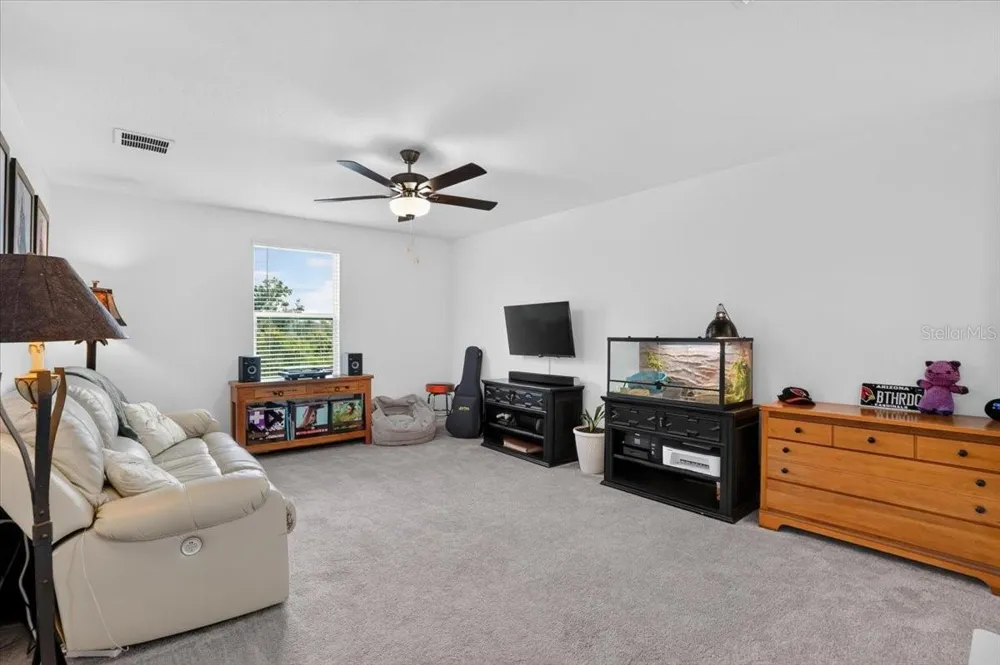 12036 BLUE DIAMOND COVE Parrish, FL 34219