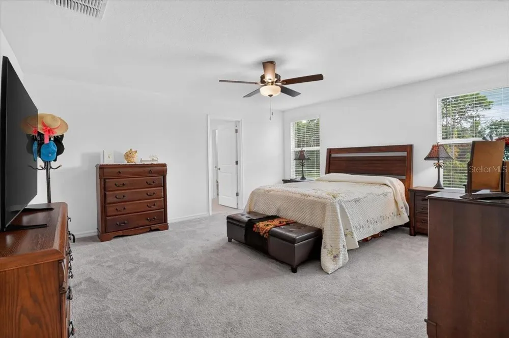 12036 BLUE DIAMOND COVE Parrish, FL 34219