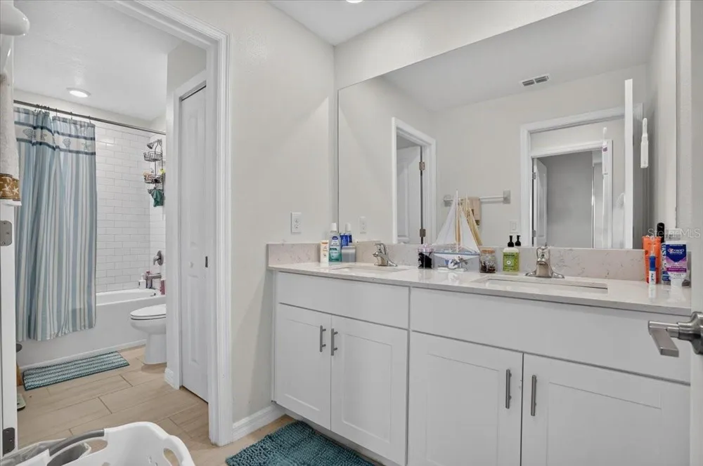 12036 BLUE DIAMOND COVE Parrish, FL 34219