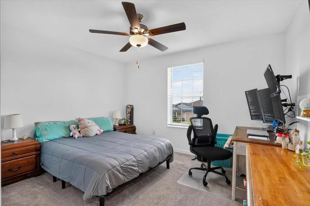 12036 BLUE DIAMOND COVE Parrish, FL 34219