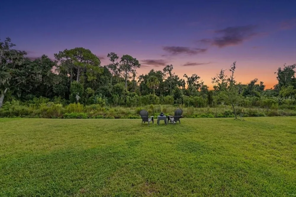12036 BLUE DIAMOND COVE Parrish, FL 34219