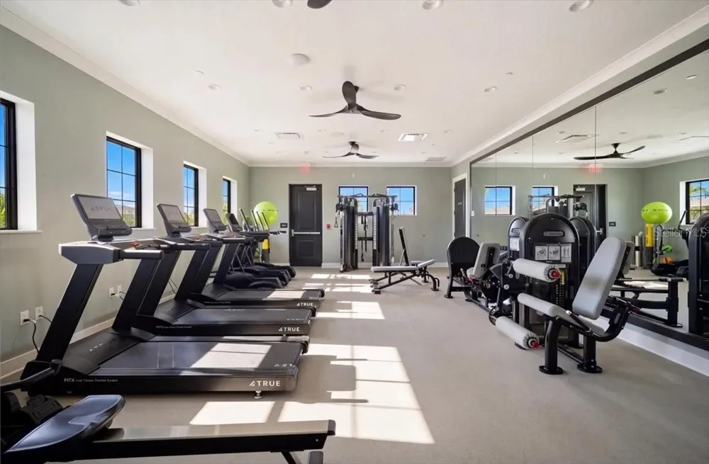 12036 BLUE DIAMOND COVE Parrish, FL 34219