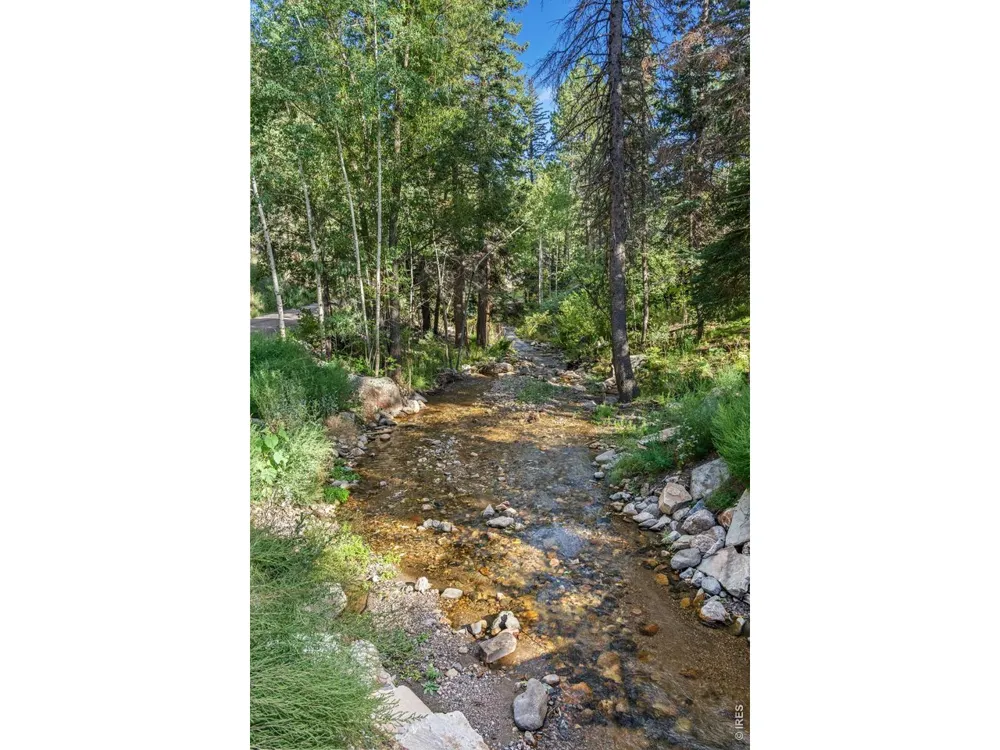 459 Streamside Drive Glen Haven, CO 80532