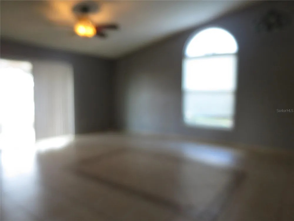 3115 SMOKE SIGNAL CIRCLE Kissimmee, FL 34746