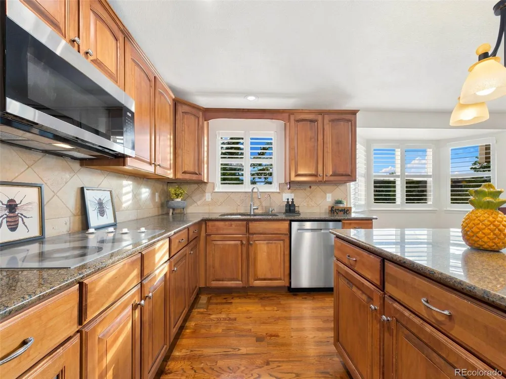 3699 Deer Valley Drive Castle Rock, CO 80104
