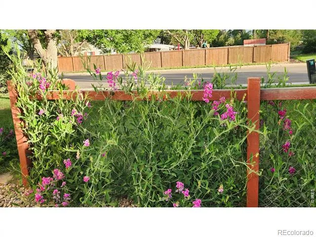 521 W 33rd Street Loveland, CO 80538