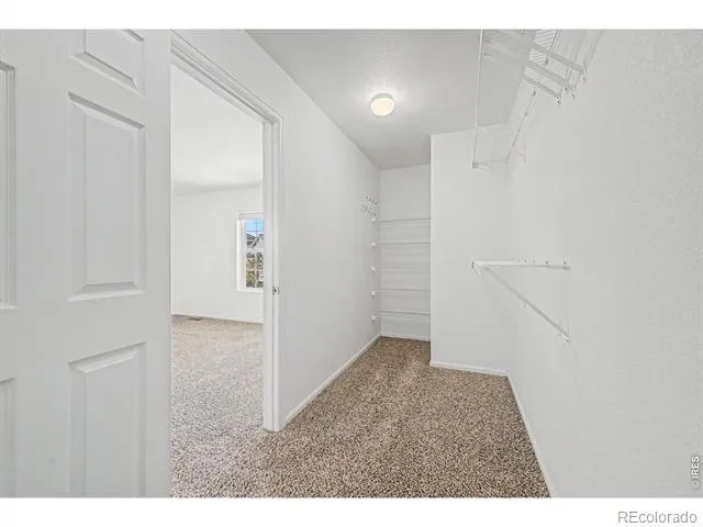3505 Dinosaur Street Castle Rock, CO 80109
