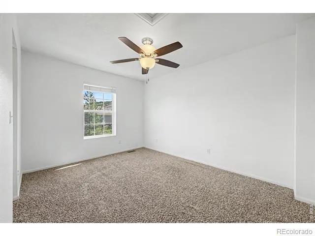 3505 Dinosaur Street Castle Rock, CO 80109