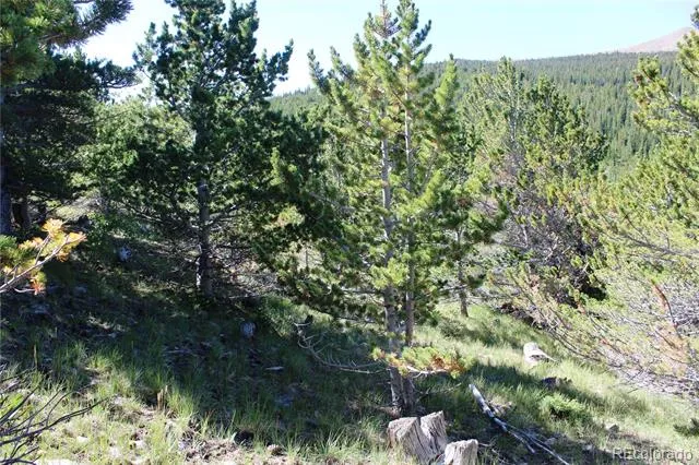 00 FS 187.1 Black Hawk, CO 80422
