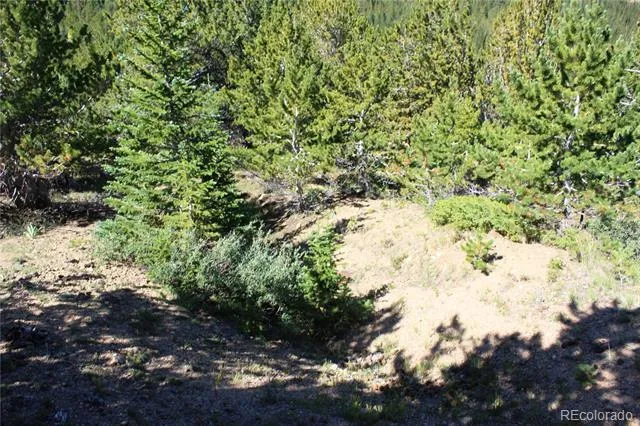 00 FS 187.1 Black Hawk, CO 80422
