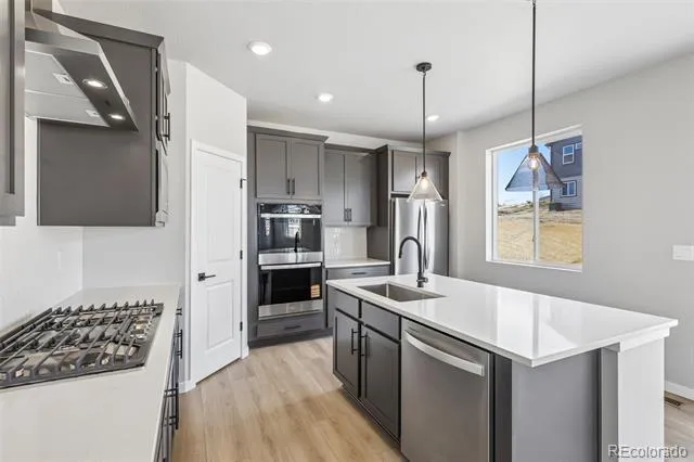 13381 Finnhorse Street Parker, CO 80134