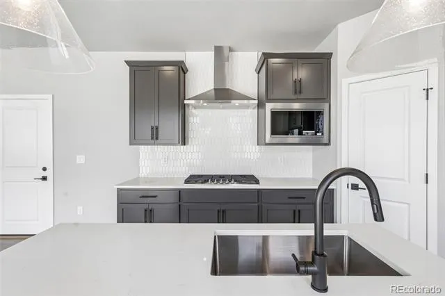 13381 Finnhorse Street Parker, CO 80134