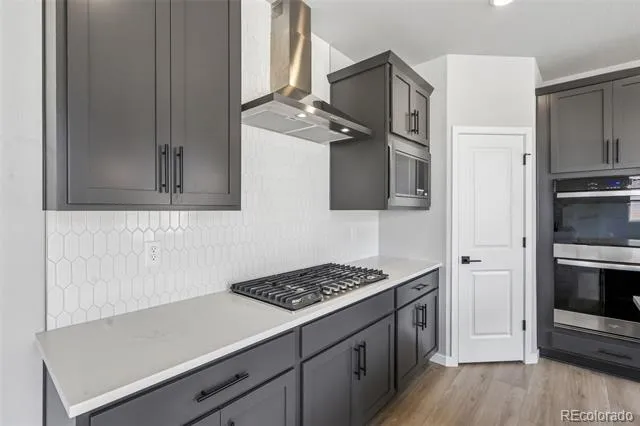 13381 Finnhorse Street Parker, CO 80134