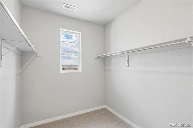 13381 Finnhorse Street Parker, CO 80134