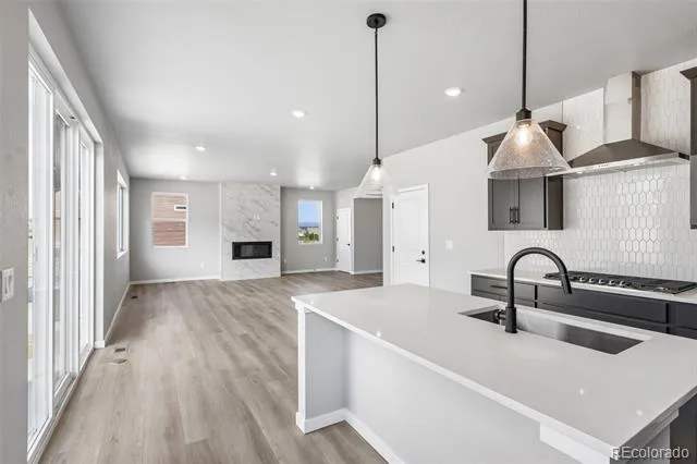 13381 Finnhorse Street Parker, CO 80134