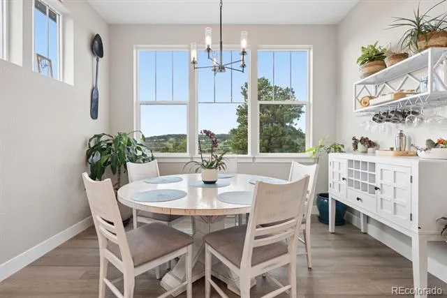 154 E Lost Pines Drive Monument, CO 80132