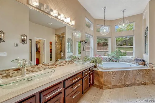 3205 Coyote Hills Court Castle Rock, CO 80109