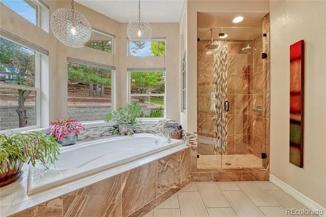 3205 Coyote Hills Court Castle Rock, CO 80109