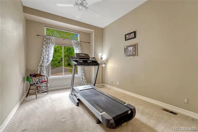 3205 Coyote Hills Court Castle Rock, CO 80109