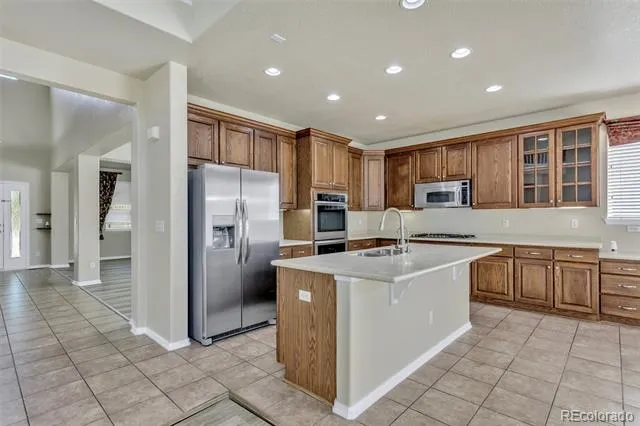 10383 Knollside Drive Parker, CO 80134