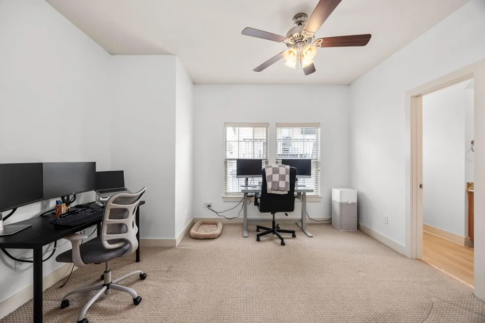 1331 W 24th Street #D Houston, TX 77008