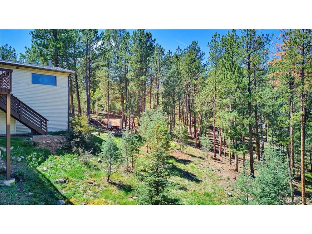 33511 Nova Road Pine, CO 80470