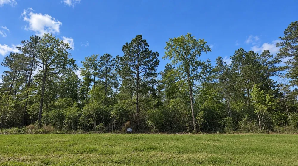 377 Exploration Road New Waverly, TX 77358