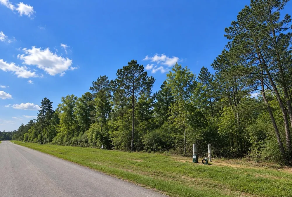 377 Exploration Road New Waverly, TX 77358