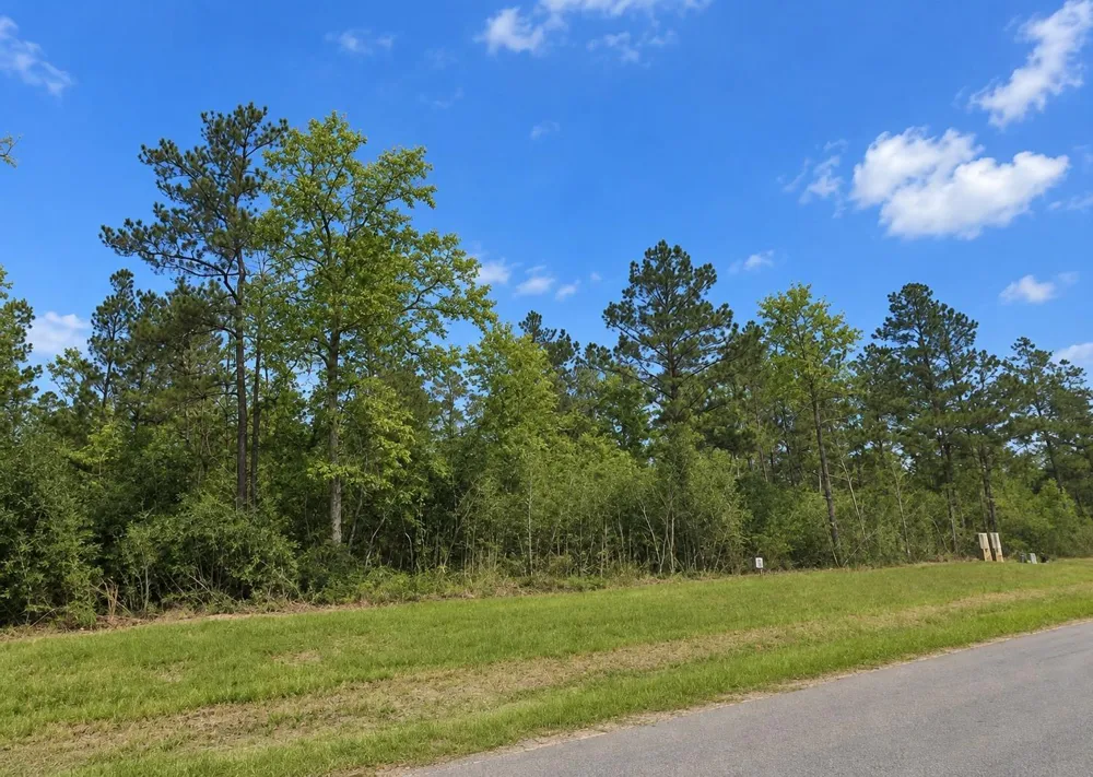 377 Exploration Road New Waverly, TX 77358