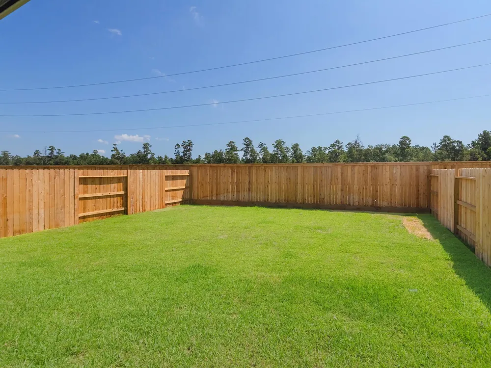15881 Blass Valley Drive Drive Conroe, TX 77302