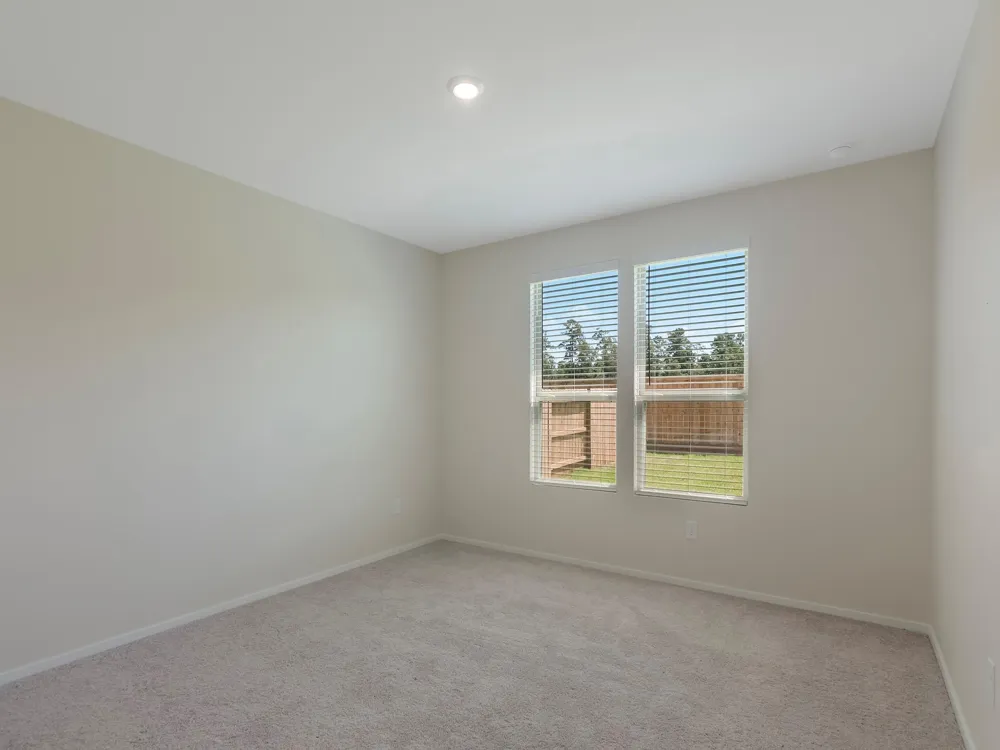 15881 Blass Valley Drive Drive Conroe, TX 77302