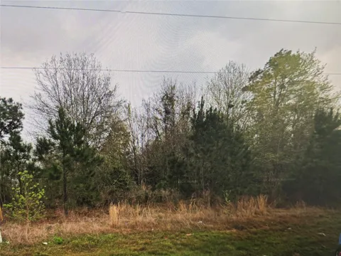 3157 County Road 3550
