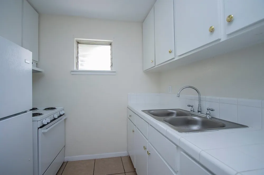 3702 Flora #4 Houston, TX 77006