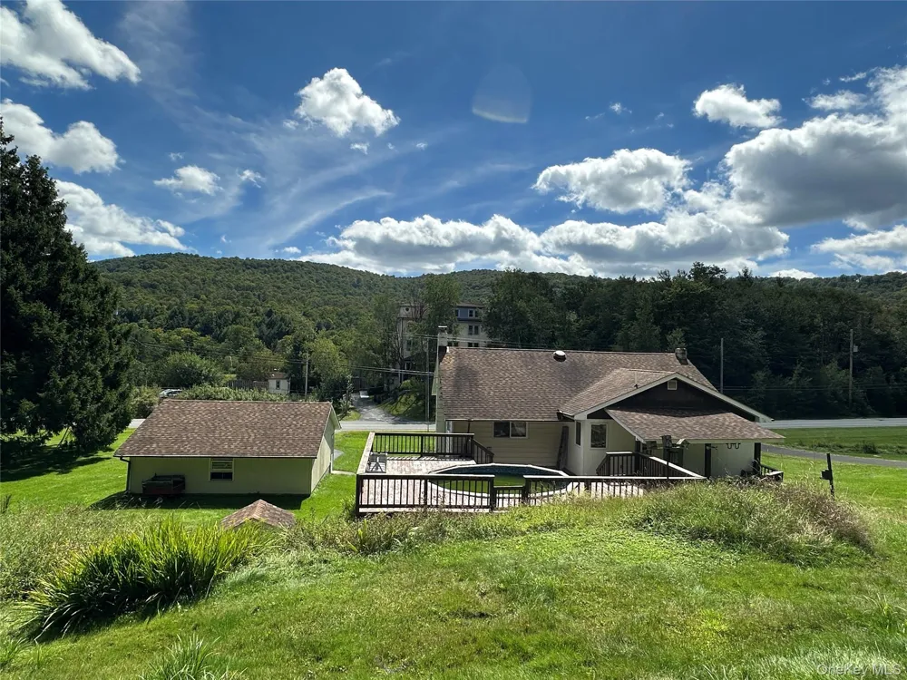 979 DeBruce Road Livingston Manor, NY 12758