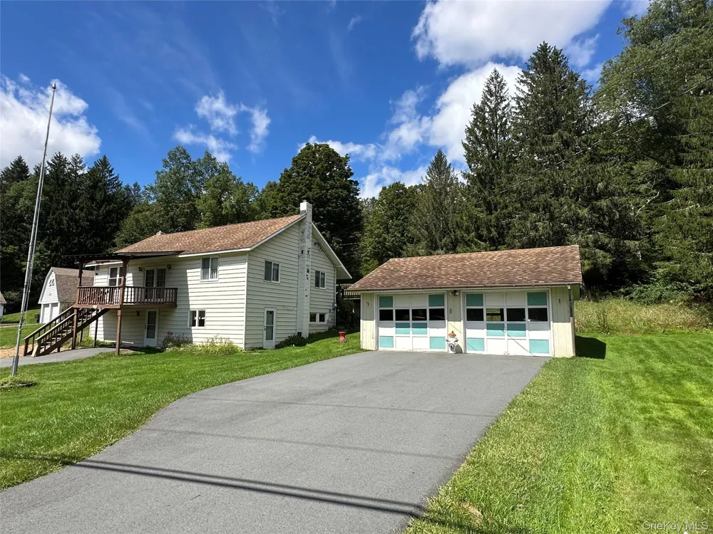 979 DeBruce Road Livingston Manor, NY 12758