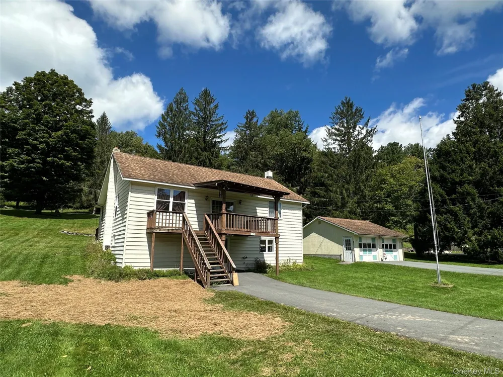 979 DeBruce Road Livingston Manor, NY 12758