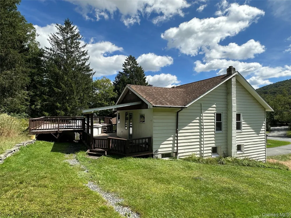 979 DeBruce Road Livingston Manor, NY 12758