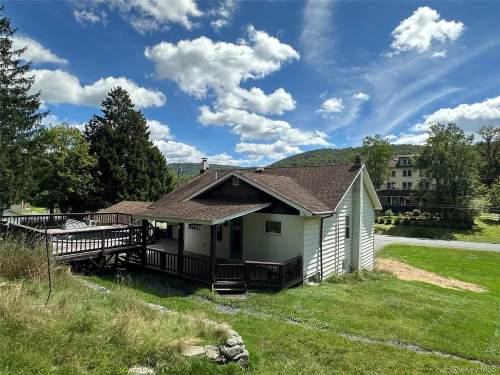 979 DeBruce Road Livingston Manor, NY 12758