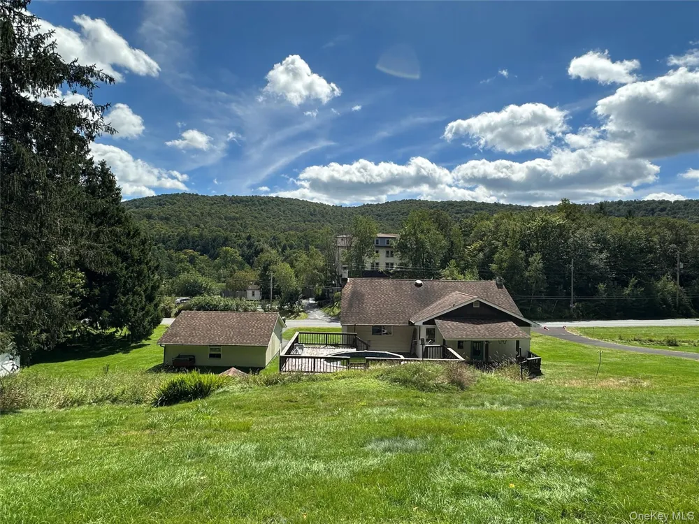 979 DeBruce Road Livingston Manor, NY 12758
