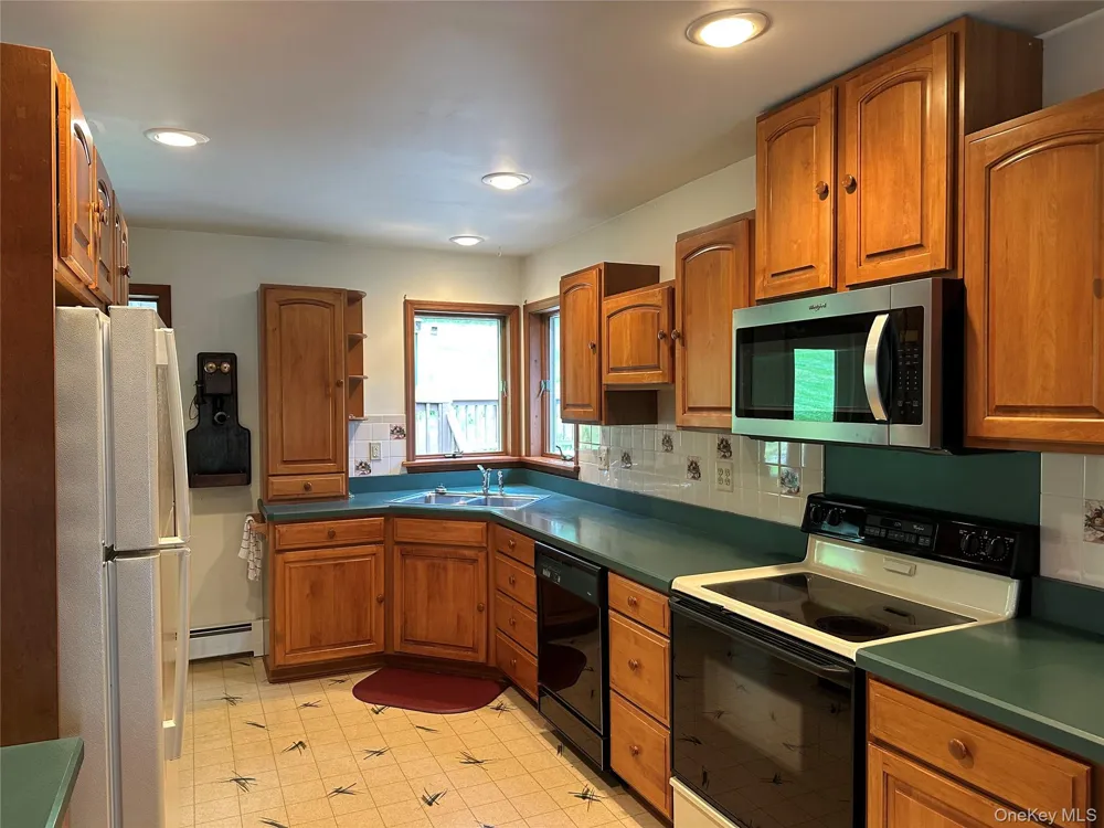 979 DeBruce Road Livingston Manor, NY 12758