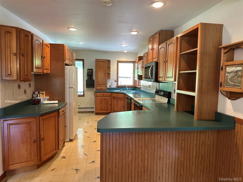 979 DeBruce Road Livingston Manor, NY 12758
