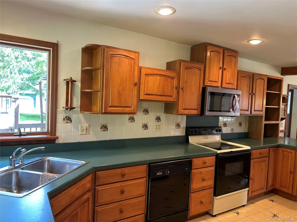 979 DeBruce Road Livingston Manor, NY 12758